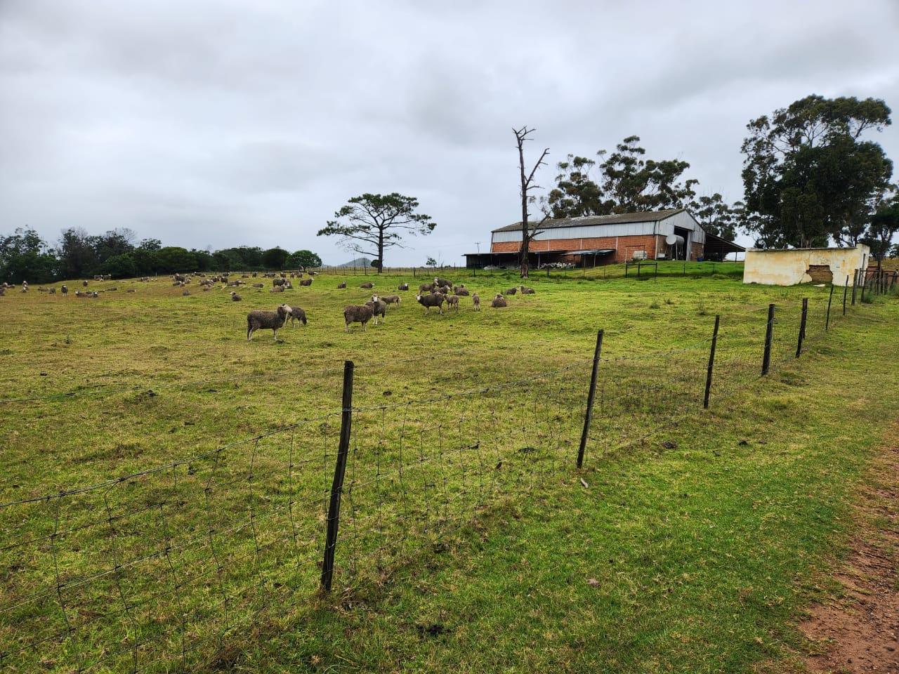 8 Bedroom Property for Sale in Humansdorp Eastern Cape